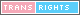 badge:trans rights